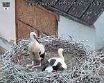 Capi_Dubne_20260715_211502.jpg