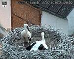 Capi_Dubne_20260715_212002.jpg