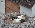 Capi_Dubne_20260716_055004.jpg
