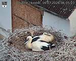 Capi_Dubne_20260716_060503.jpg