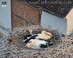 Capi_Dubne_20260716_061504.jpg