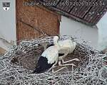 Capi_Dubne_20260716_075504.jpg