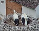 Capi_Dubne_20260716_084004.jpg