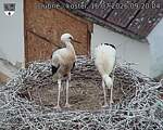 Capi_Dubne_20260716_092004.jpg