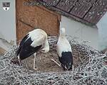 Capi_Dubne_20260716_092504.jpg