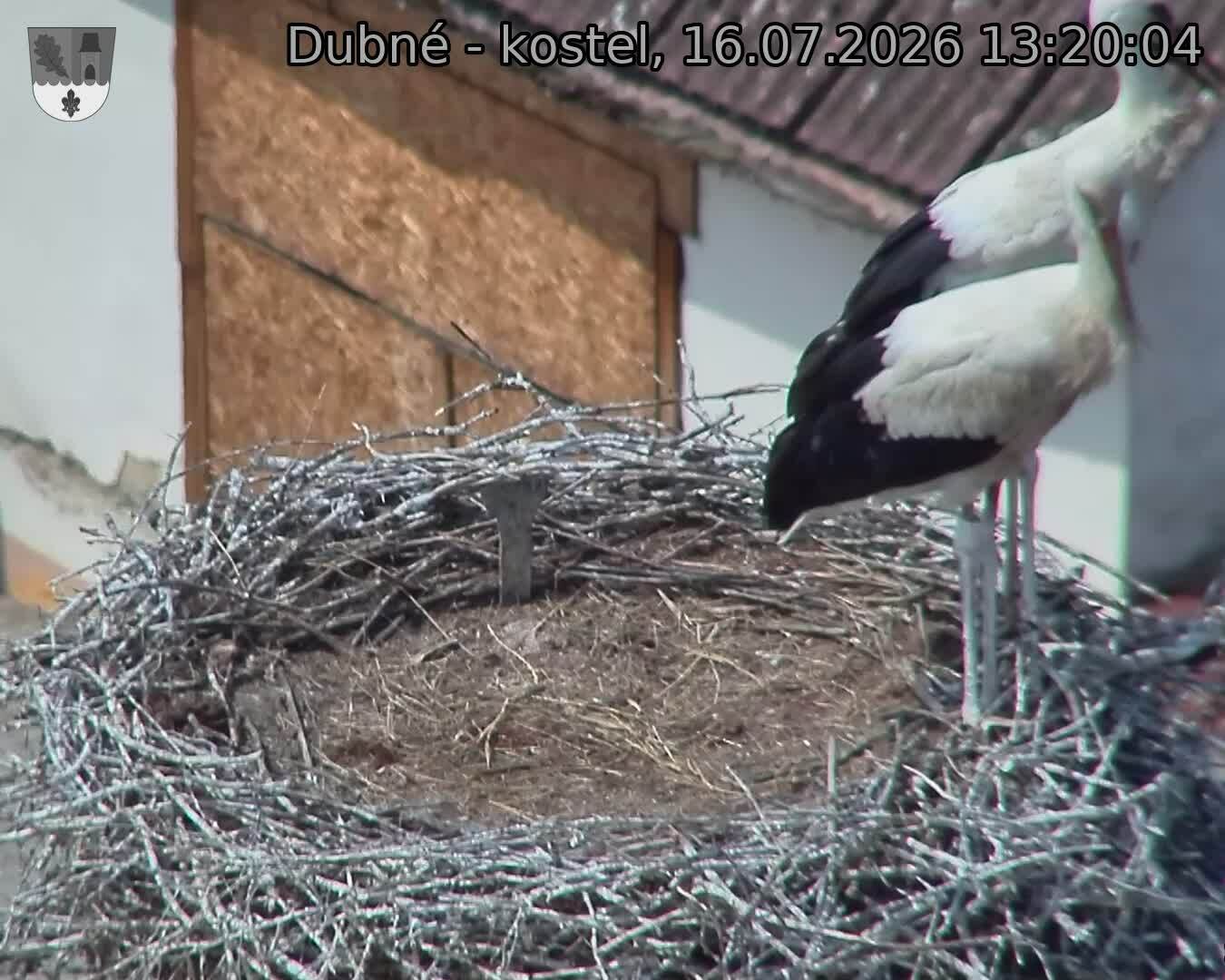 preload