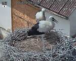 Capi_Dubne_20260716_143002.jpg