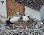 Capi_Dubne_20260716_150504.jpg