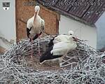 Capi_Dubne_20260716_154002.jpg