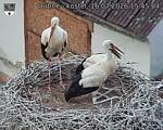 Capi_Dubne_20260716_154504.jpg