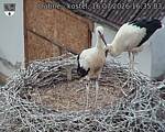 Capi_Dubne_20260716_163503.jpg