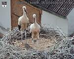 Capi_Dubne_20260716_171504.jpg