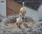 Capi_Dubne_20260716_173004.jpg