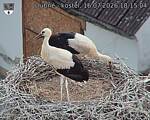 Capi_Dubne_20260716_181504.jpg
