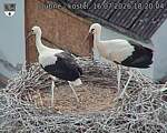 Capi_Dubne_20260716_182004.jpg