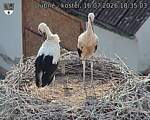 Capi_Dubne_20260716_183503.jpg