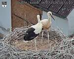 Capi_Dubne_20260716_185503.jpg