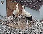 Capi_Dubne_20260716_190502.jpg