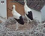 Capi_Dubne_20260716_200004.jpg