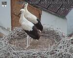 Capi_Dubne_20260716_200503.jpg