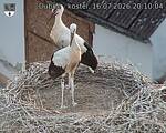 Capi_Dubne_20260716_201004.jpg