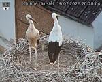 Capi_Dubne_20260716_202004.jpg