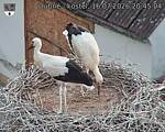 Capi_Dubne_20260716_204504.jpg