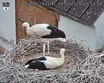 Capi_Dubne_20260716_205004.jpg