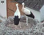Capi_Dubne_20260716_210503.jpg