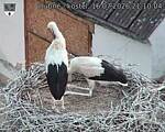 Capi_Dubne_20260716_211004.jpg