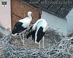 Capi_Dubne_20260716_212003.jpg
