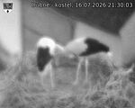 Capi_Dubne_20260716_213003.jpg