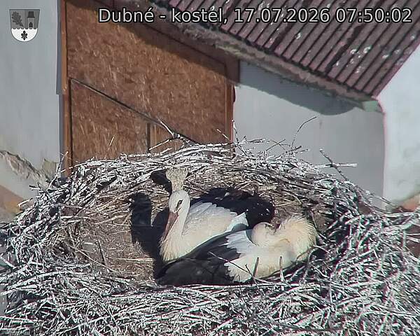 preload