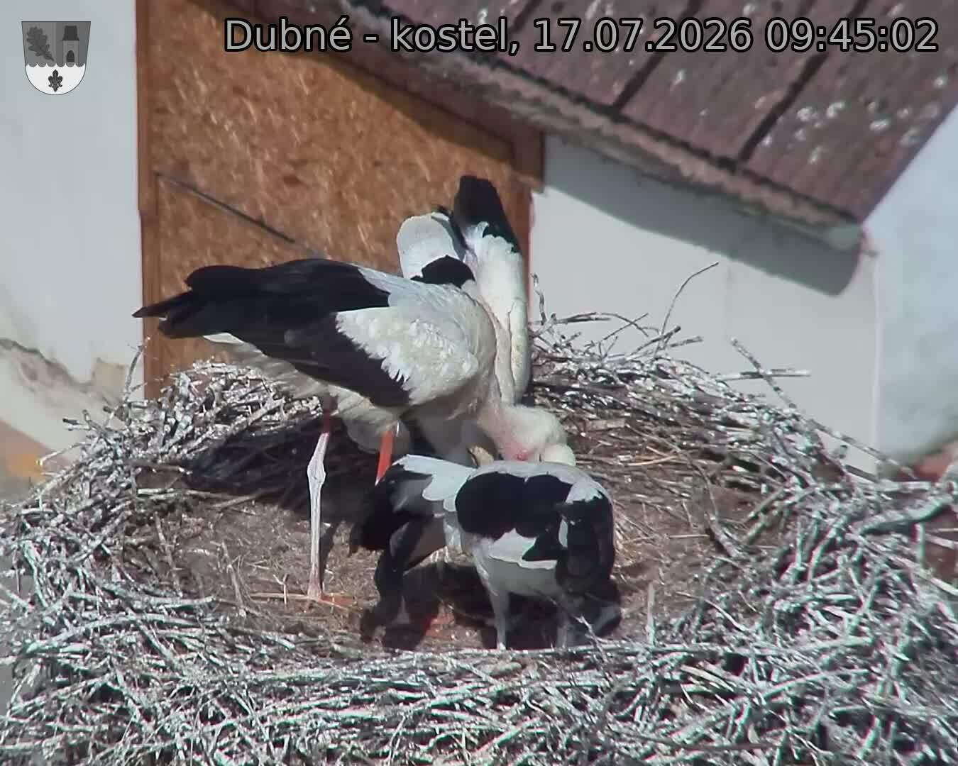 preload