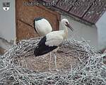 Capi_Dubne_20260717_123503.jpg