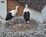 Capi_Dubne_20260717_134004.jpg