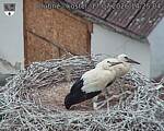 Capi_Dubne_20260717_142504.jpg