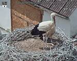 Capi_Dubne_20260717_144002.jpg