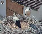 Capi_Dubne_20260717_165504.jpg