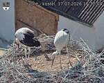 Capi_Dubne_20260717_172004.jpg
