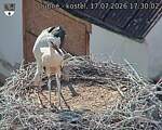 Capi_Dubne_20260717_173002.jpg