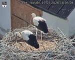 Capi_Dubne_20260717_180504.jpg