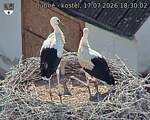 Capi_Dubne_20260717_183002.jpg