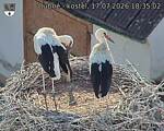 Capi_Dubne_20260717_183502.jpg