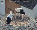 Capi_Dubne_20260717_185004.jpg