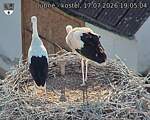Capi_Dubne_20260717_190504.jpg