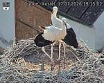 Capi_Dubne_20260717_191502.jpg
