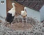 Capi_Dubne_20260717_200002.jpg