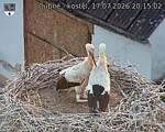 Capi_Dubne_20260717_201502.jpg