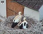 Capi_Dubne_20260717_203004.jpg